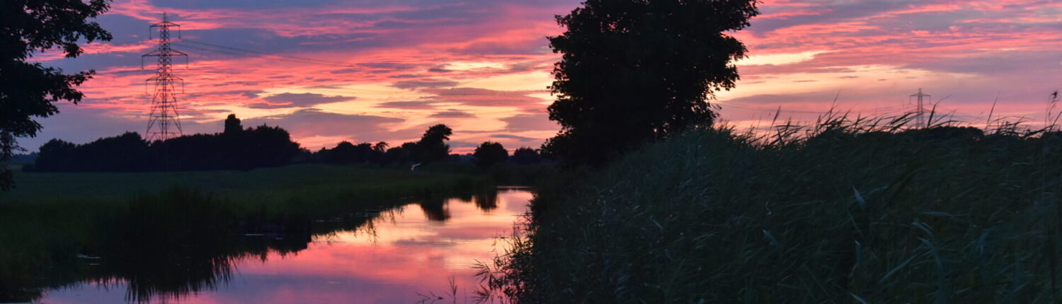 Pink sunset