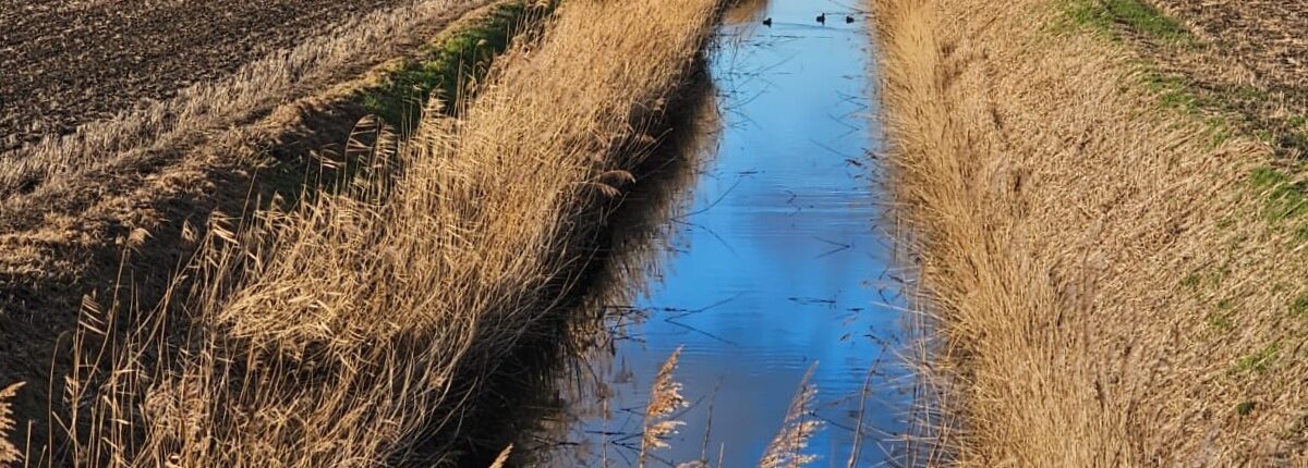 Small Drain
